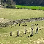 Nyaraló Prista Ranch Cirkulane *