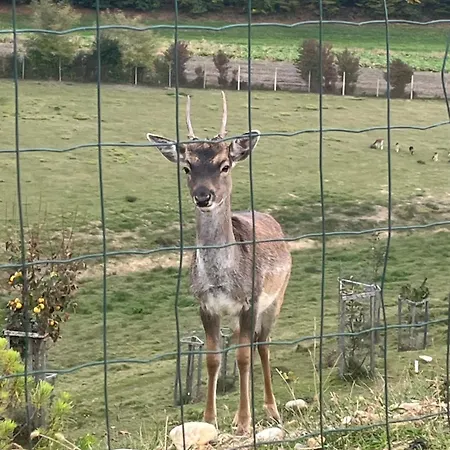 Prista Ranch Cirkulane Curnovec