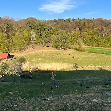 Počitniška hiša Prista Ranch Cirkulane *