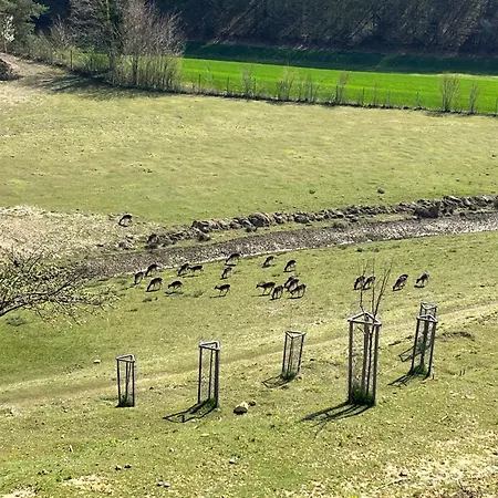 Počitniška hiša Prista Ranch Cirkulane *