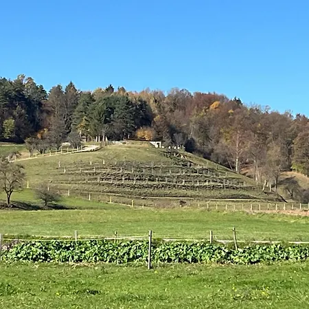 Prista Ranch Cirkulane *