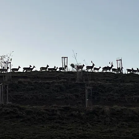 Prista Ranch Cirkulane בית נופש