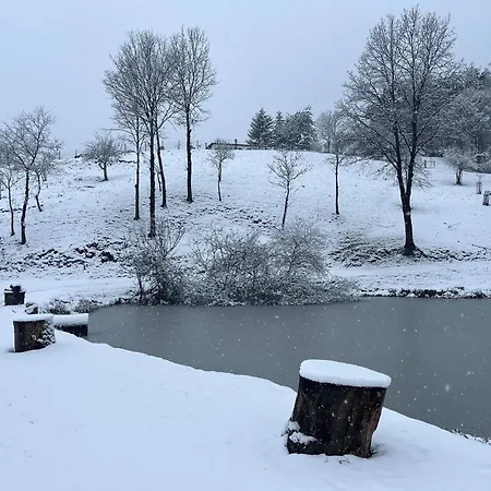 Prista Ranch Cirkulane Curnovec