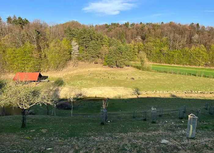 Holiday home Prista Ranch Cirkulane *