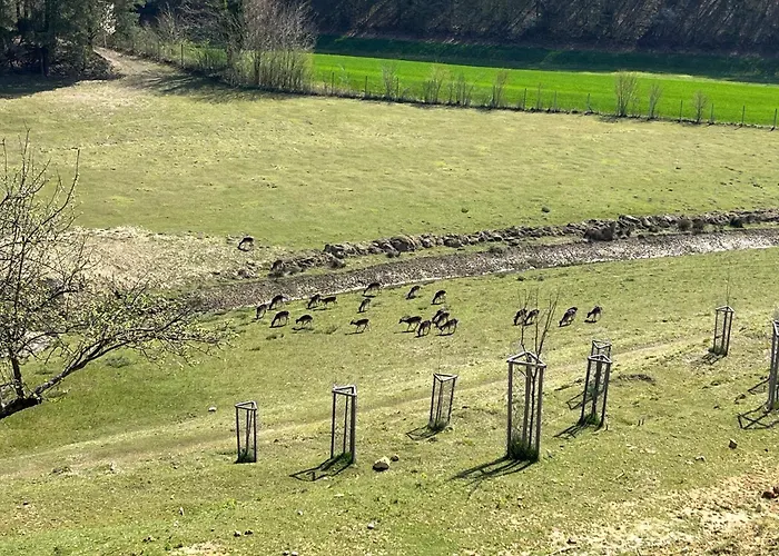 بيت للعطل Prista Ranch Cirkulane *